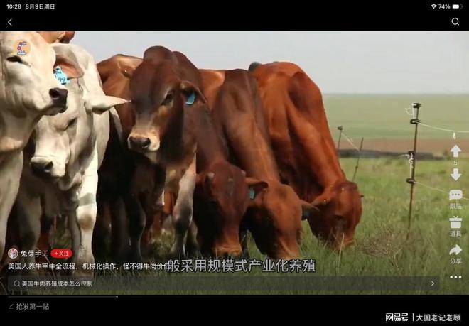 吃牛肉成了美国人的“奢侈消费”