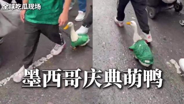 白岩松：阿根廷不该进决赛！但有个玄学 前国脚：阿根廷必输法国